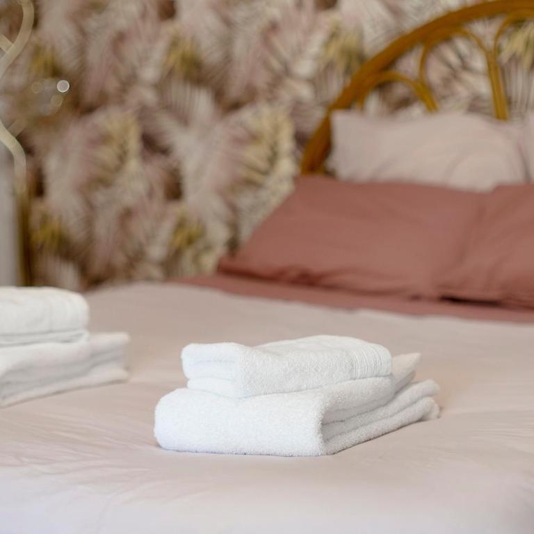 La Rose et Le Loup Gîte Éco-vintage - Maison 2 Chambres - 11