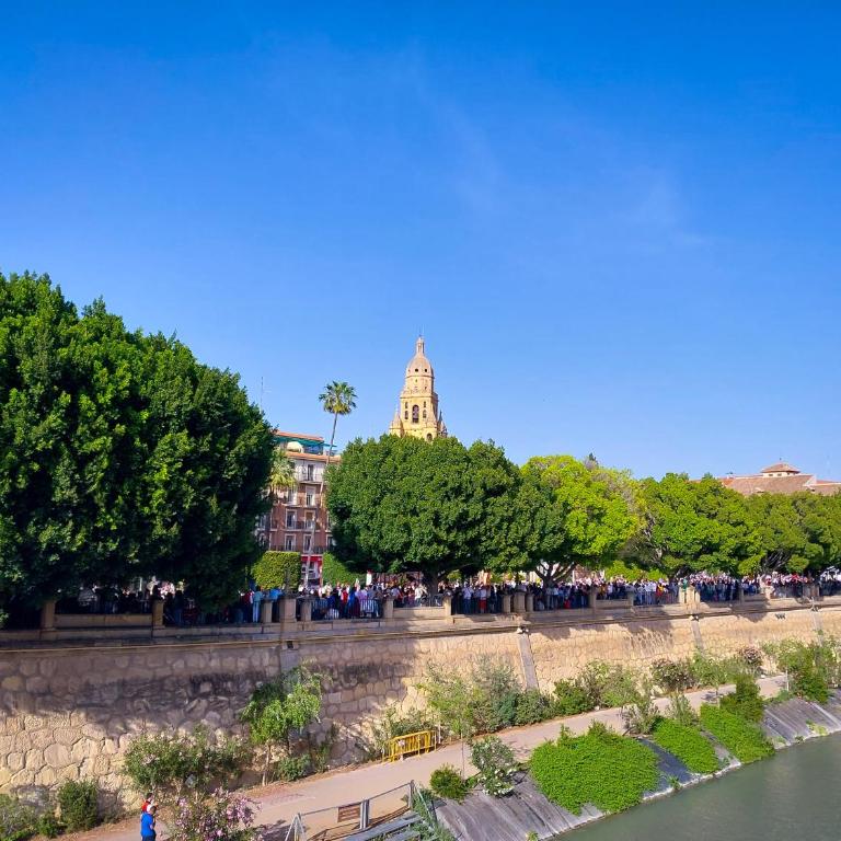 Alojamiento Casa verde en Murcia centro - Apartamento de 2 dormitorios - 14