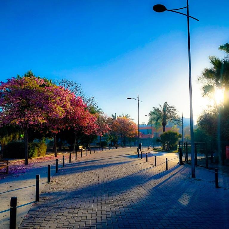 Alojamiento Casa verde en Murcia centro - Apartamento de 2 dormitorios - 15