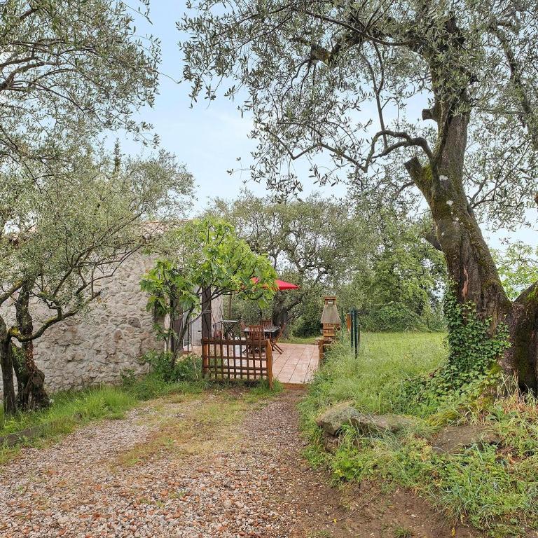 Gîte Les Lys - Maison 1 Chambre - 21