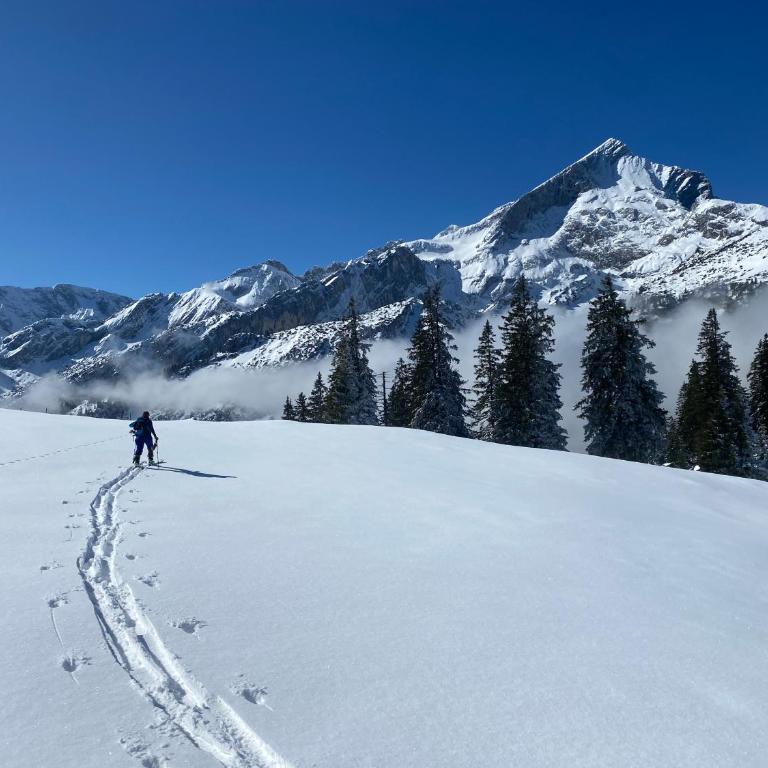 LoisachLodge - zwischen Loisach und Zugspitze - Apartamento con vistas y balcón - 27