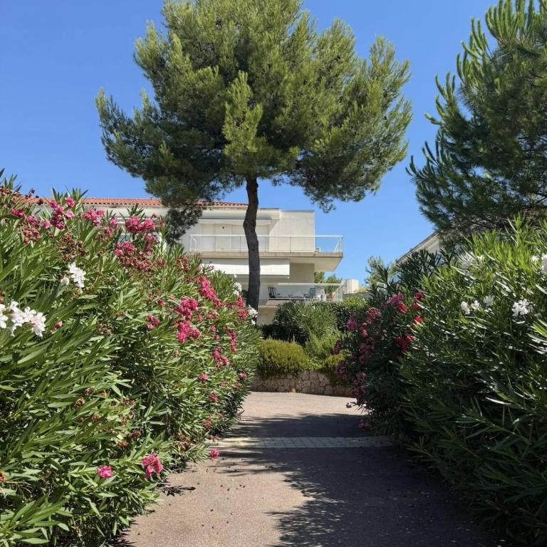 Apartment with pool, parking, close to the beach - Appartement 1 Chambre - 6