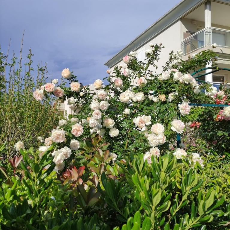 Apartment with pool, parking, close to the beach - Appartement 1 Chambre - 13