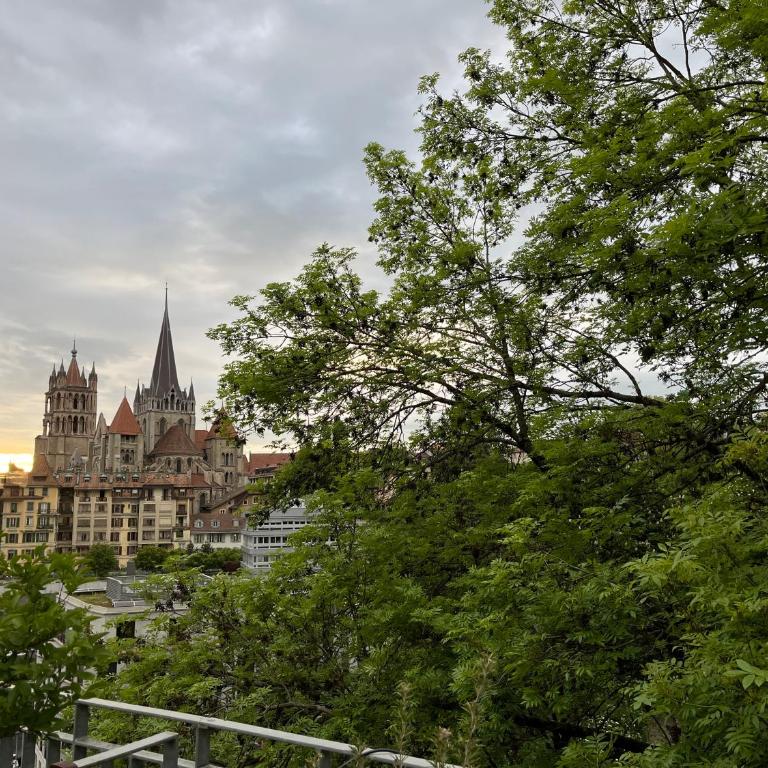 Luxury Duplex with Rooftop, View of Lausanne Cathedral - Loft-Apartment mit 3 Schlafzimmern - 54