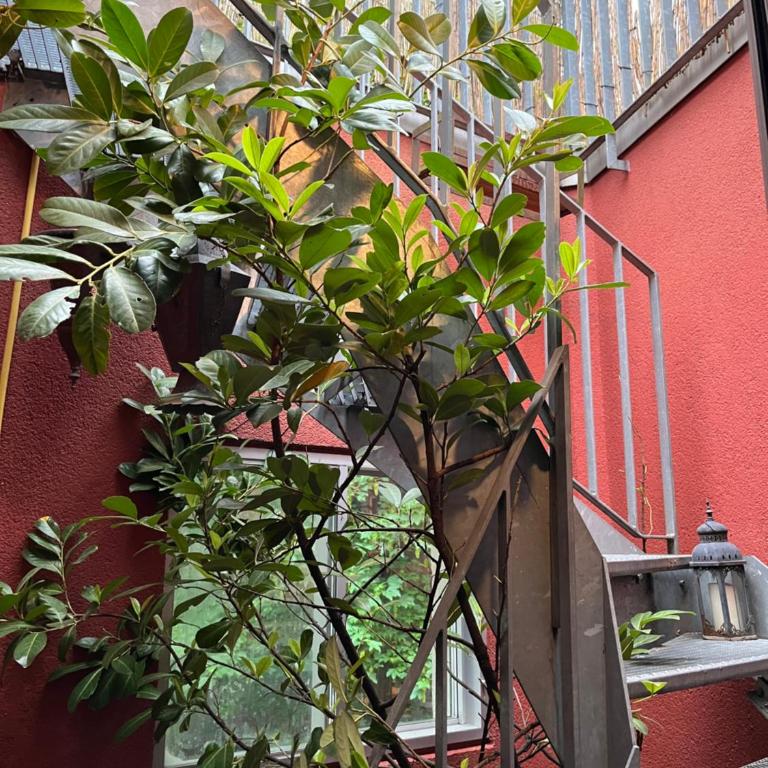 Luxury Duplex with Rooftop, View of Lausanne Cathedral - Loft-Apartment mit 3 Schlafzimmern - 50
