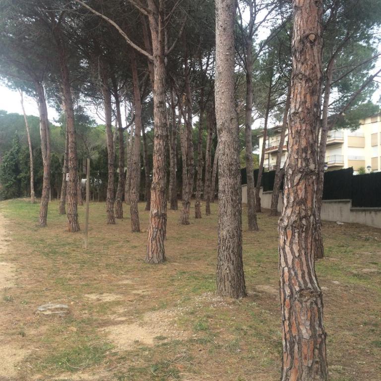 Apartamento en Calella para estancias de temporada con piscina y parking - Apartamento de 3 dormitorios - 22