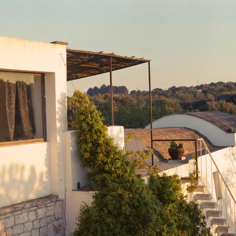 Trullo Armonia a Panoramic Villa with Pool - Villa - 3