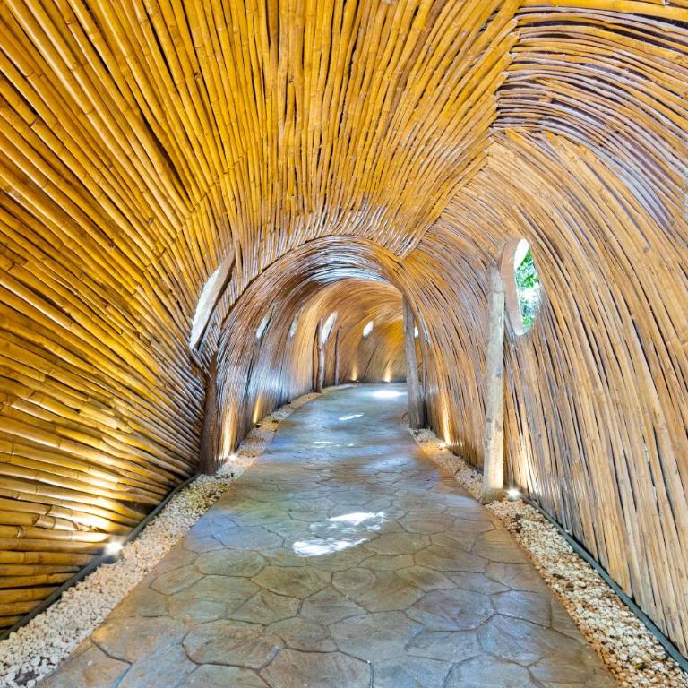 Luxury Jungle Retreat - 4 Bedroom Villa with Private Pool and Cenote - fits 14 - Four-Bedroom Vacation Home - 5