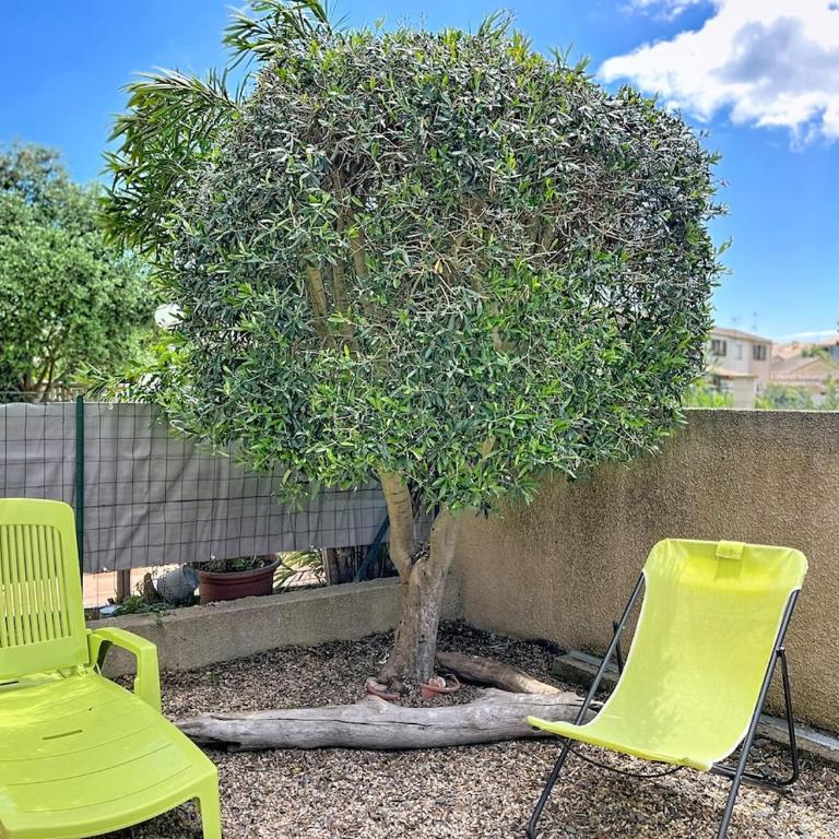 Clos des Tamaris 2ch clim wifi terrasse piscine - Casa con 2 Camere da Letto - 15