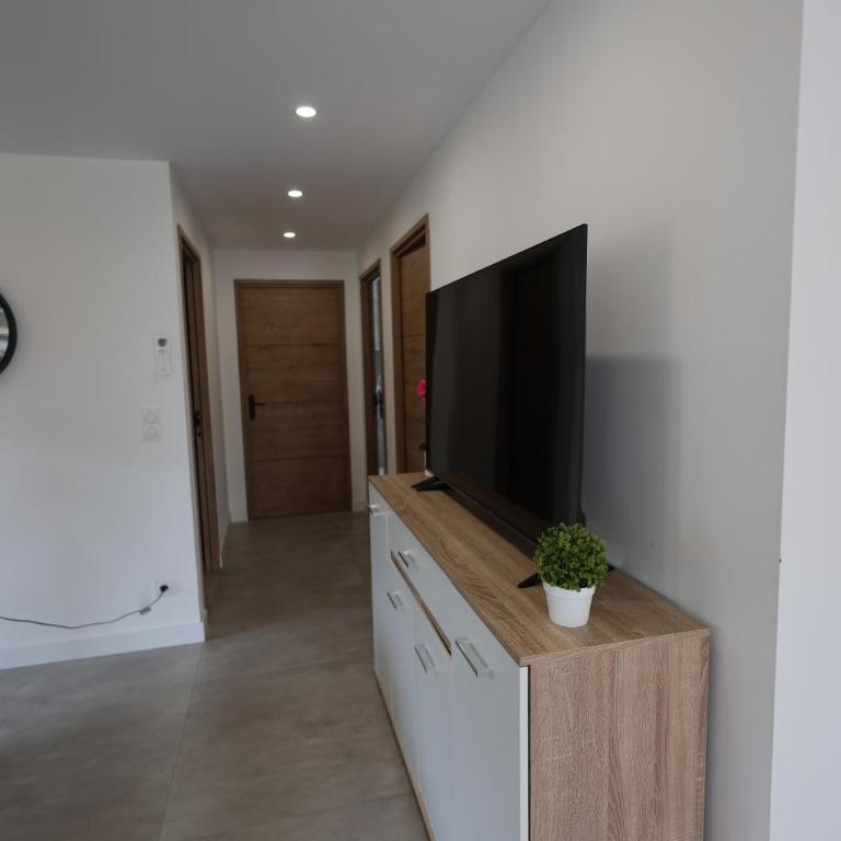 Le Diamant, appartement 3 pieces avec terrasse vue sur nature - Appartement 2 Chambres - 4