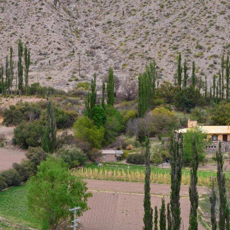 Casa Andina del Pucará - Villa - 20