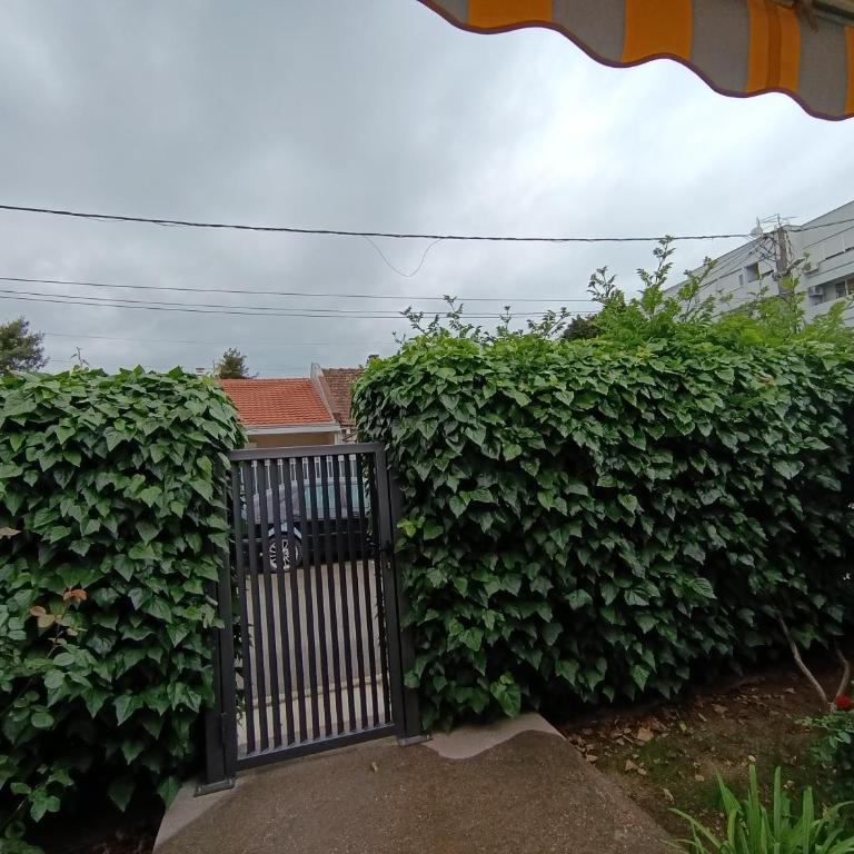 House in the greenery Podgorica - Apartman sa 2 Spavaće Sobe - 26