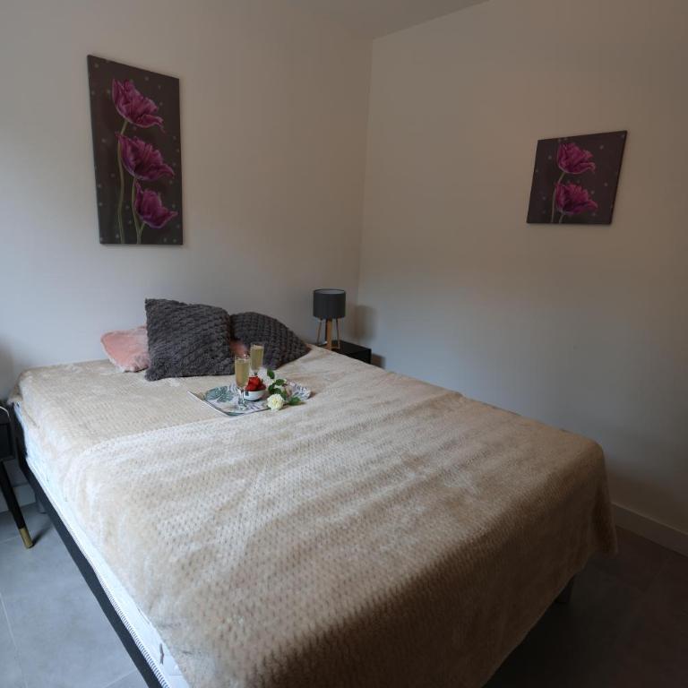 Le Rubis, appartement 3 pieces standing au coeur de la nature - Appartement 2 Chambres - 14