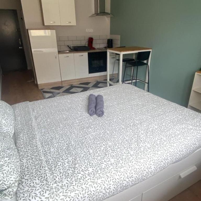 Le Saint-Pierre - Studio Centre ville - Appartamento con 1 Camera da Letto - 2