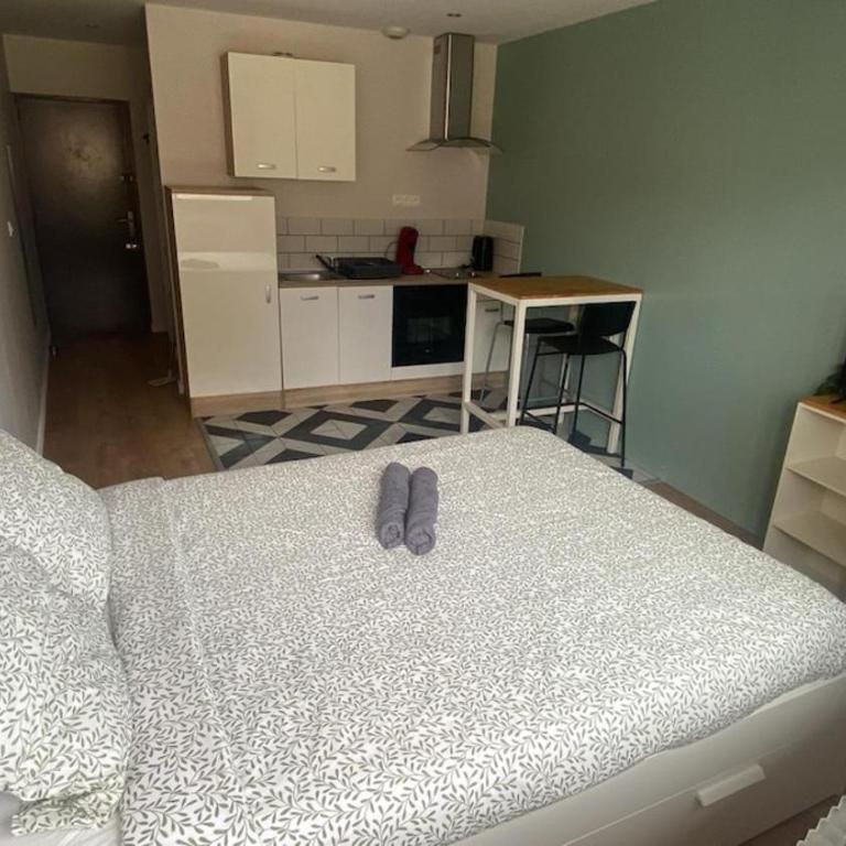 Le Saint-Pierre - Studio Centre ville - Appartamento con 1 Camera da Letto - 12