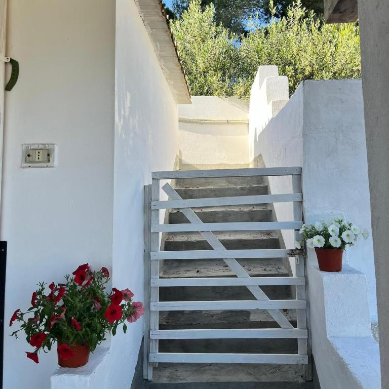 Dimora Mimmi Marina di Mancaversa Gallipoli Lecce Salento Puglia - Casa con 2 Camere da Letto - 11