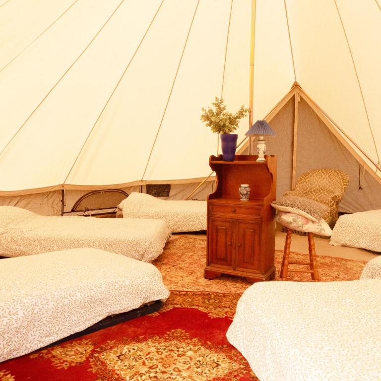 Aparra Surfcamp Auberge Capbreton - Lit Simple en Dortoir - 3