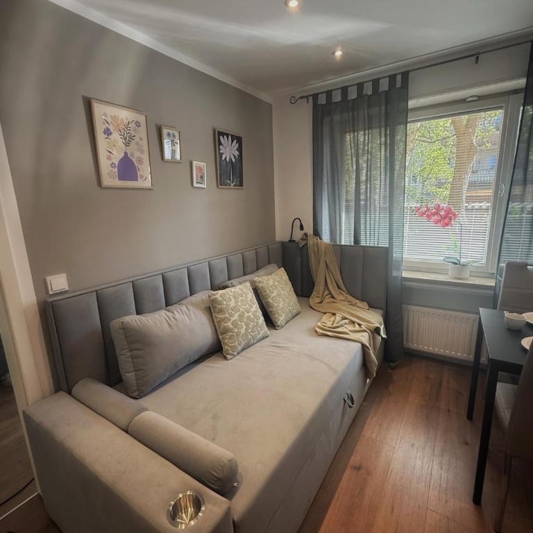 Neues City-Apartment nahe der Fuggerei I Stellplatz I frisch renoviert I Zentrumnähe - Appartamento con 1 Camera da Letto - 3
