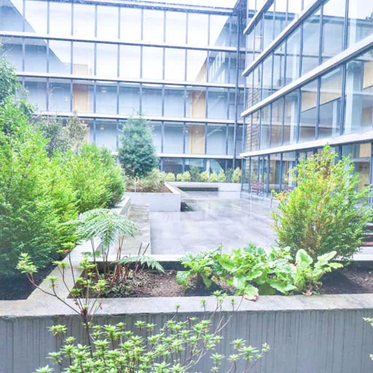 HOM I Depto 3D2B, Estacionamiento, Piscina temperada, frente al lago, Costanera - Apartamento - 7
