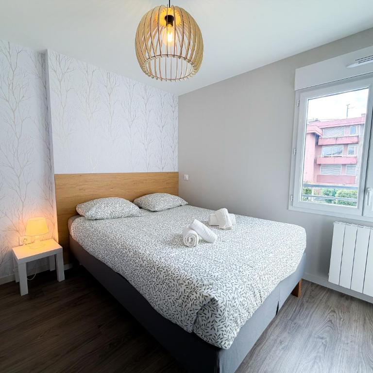 Volcania Suites - Appartement - 7