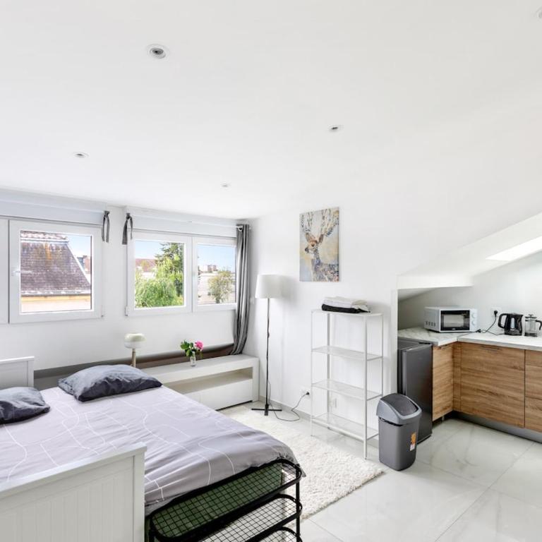 Studio Très Chic & Frais avec Ventilateur, Parking Privé Gratuit, MULHOUSE centre - Apartamento de 1 dormitorio - 1