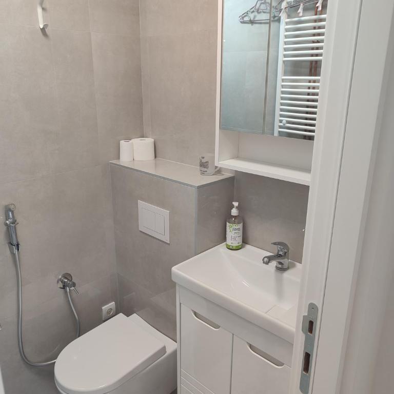 Slavija square apartment - Apartman sa 1 Spavaćom Sobom - 6