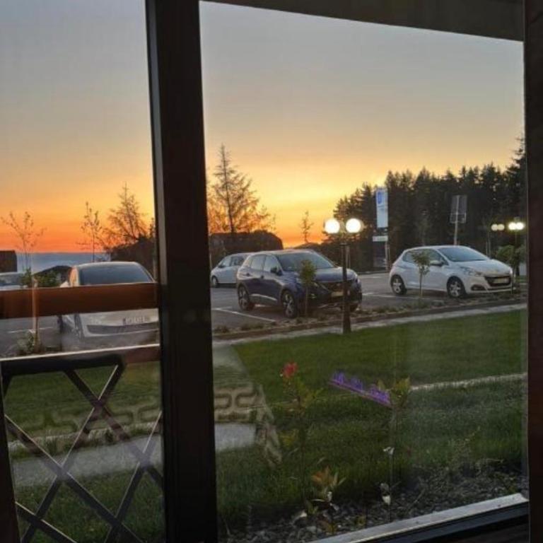 A10 Residence hill Kopaonik - One-Bedroom Apartment - 9