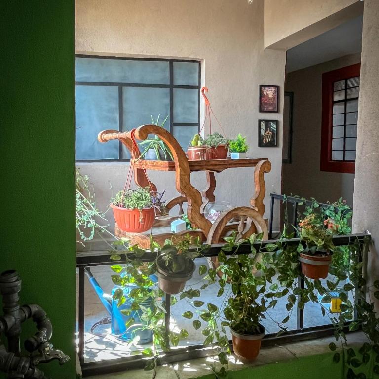 Casa Corregidora - Estudio con cama extragrande y sofá cama - 5