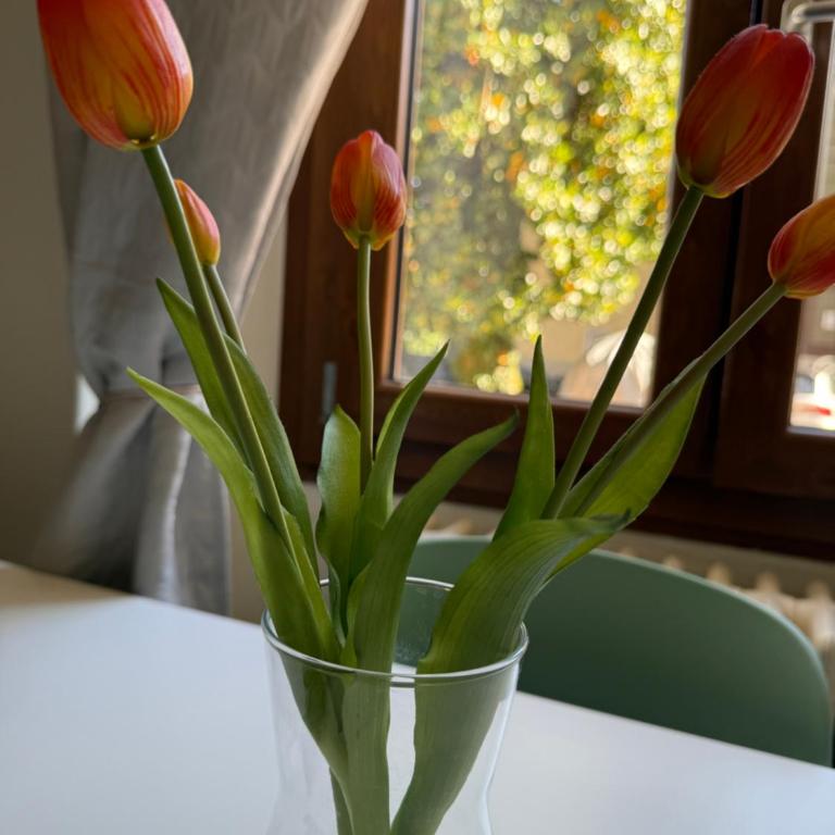 Casa Tuxedo Verbania-Intra con aria condizionata - Appartamento - 13