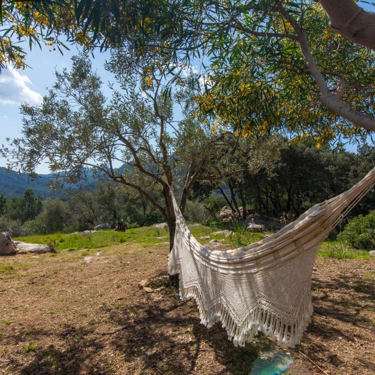 Villa Margherita - Casa de 4 dormitorios - 57