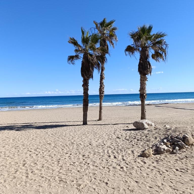 Casa del Capitan - Apartamento de 2 dormitorios - 21