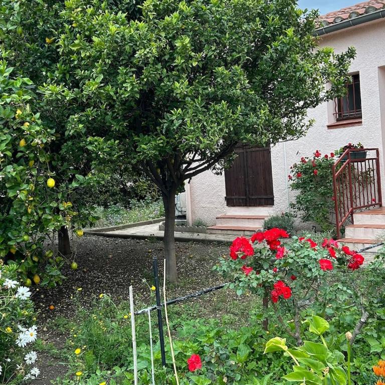 Villa rose - Two-Bedroom House - 1
