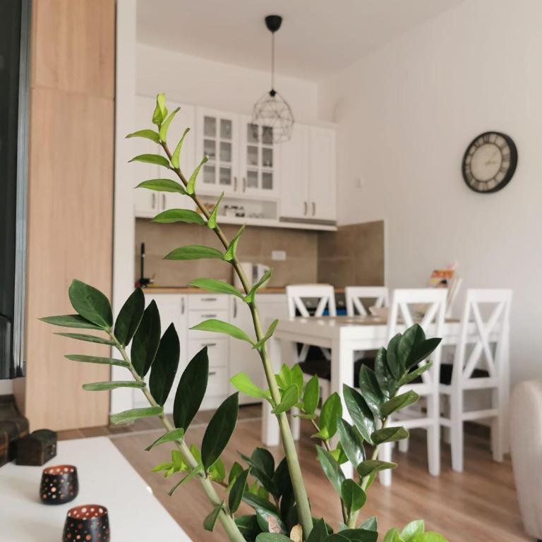 Koviljača Escape - Apartman sa 1 Spavaćom Sobom - 3