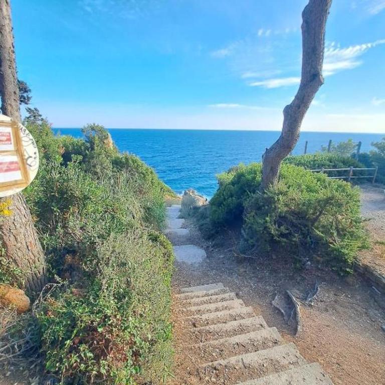 Le jardin d'azur - Vue mer - clim - piscine - Apartment mit 1 Schlafzimmer - 40
