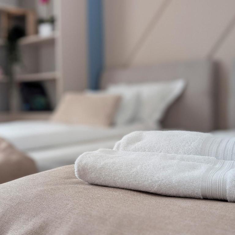 Premium Apartment Meandar with Free garage - Apartman sa 2 Spavaće Sobe - 35