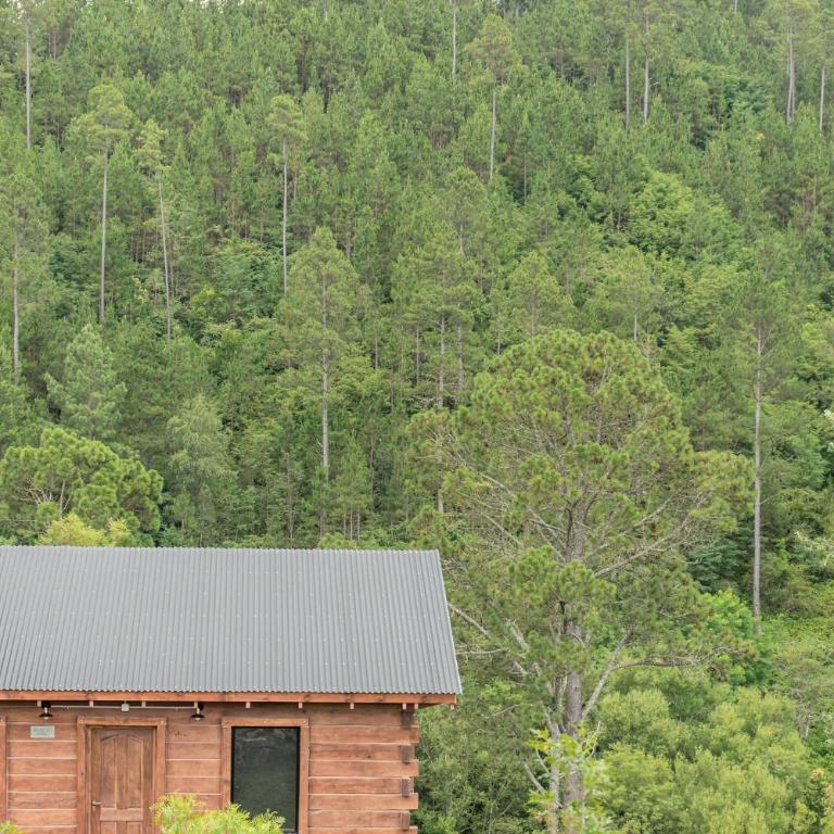 Henko Suites - Chalet de 1 dormitorio - 2