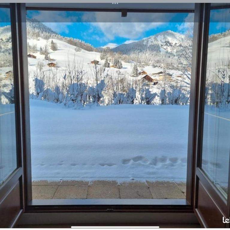 Chalet Cosy, Neuf, RDC, Terrasse, Pied des Pistes, - Appartement 2 Chambres - 10