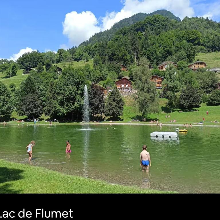 Chalet Cosy, Neuf, RDC, Terrasse, Pied des Pistes, - Appartement 2 Chambres - 14