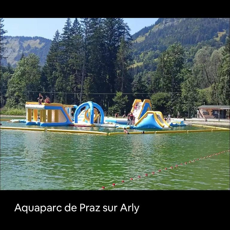 Chalet Cosy, Neuf, RDC, Terrasse, Pied des Pistes, - Appartement 2 Chambres - 20