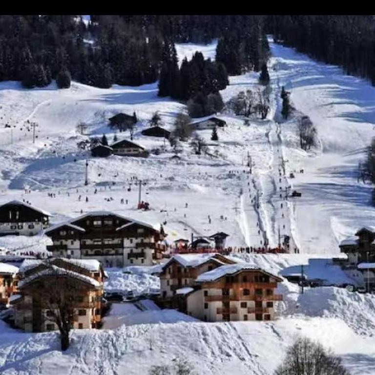 Chalet Cosy, Neuf, RDC, Terrasse, Pied des Pistes, - Appartement 2 Chambres - 22