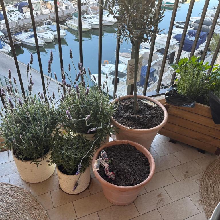 Le Masters Signature Golf & Sea - Appartamento con 1 Camera da Letto - 14