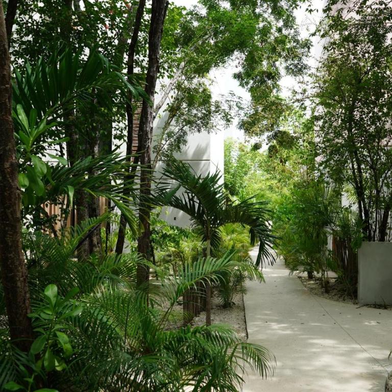 Villa Pools Privadas Rooftop Selva Tulum - Villa de 3 dormitorios - 62