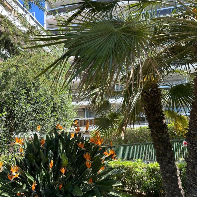 Panoramic Sea View with pool 4ppl - Juan les Pins - Apartment mit 2 Schlafzimmern - 19