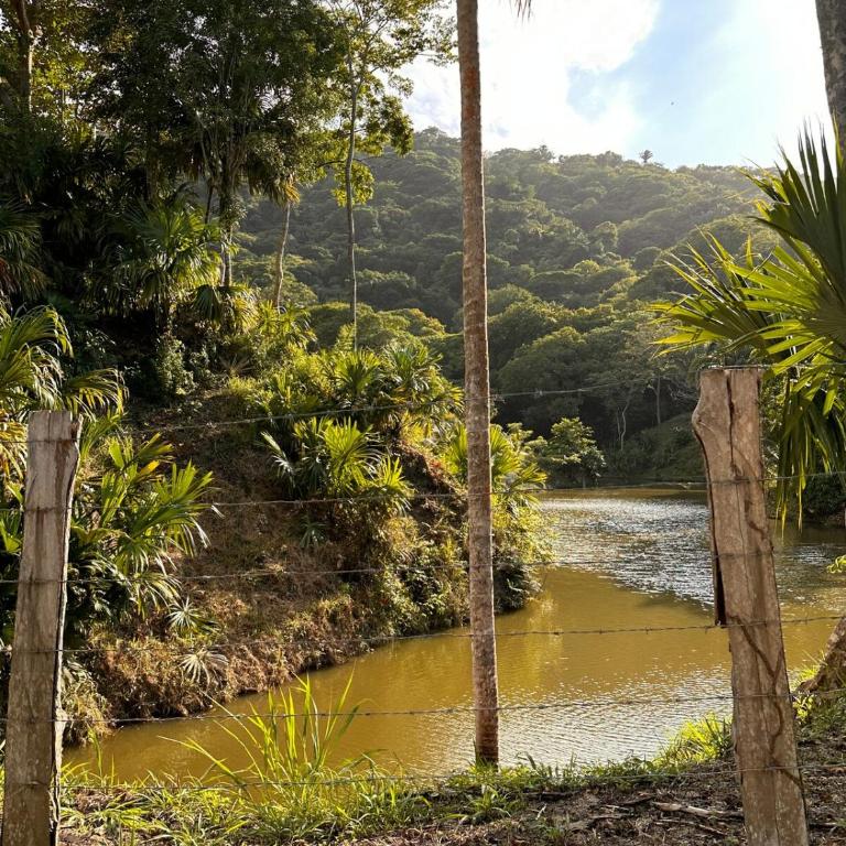 Private Jungle Cabin w-jacuzzi Near Tayrona Park - Villa de 2 dormitorios - 31
