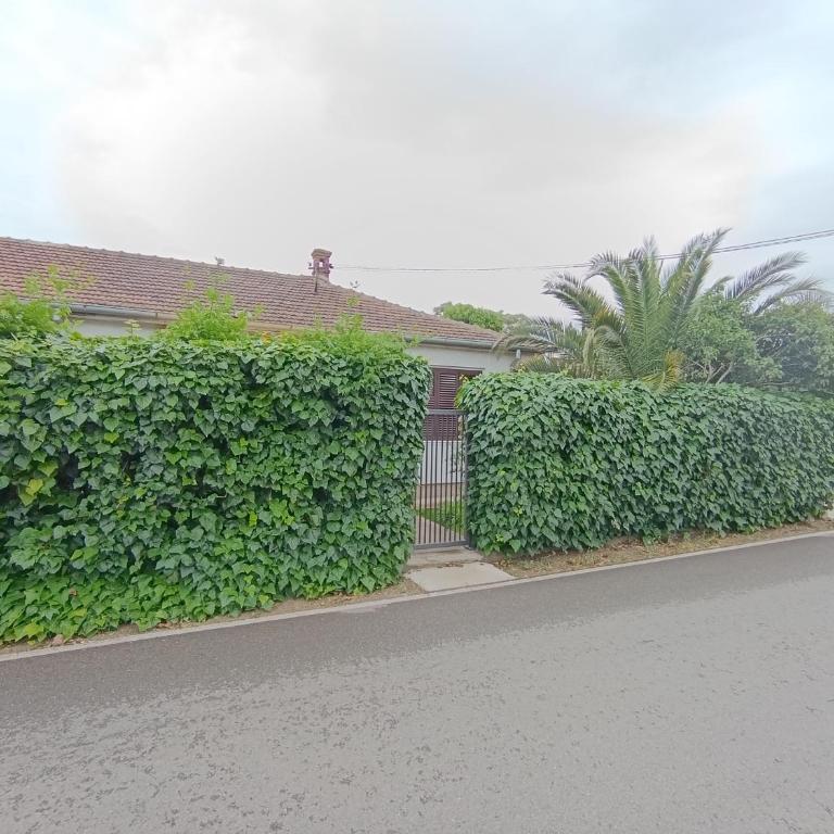 House in the greenery Podgorica - Apartman sa 2 Spavaće Sobe - 6