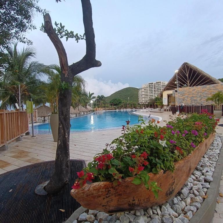 Ocean front with direct access to the beach - Apartamento - 7