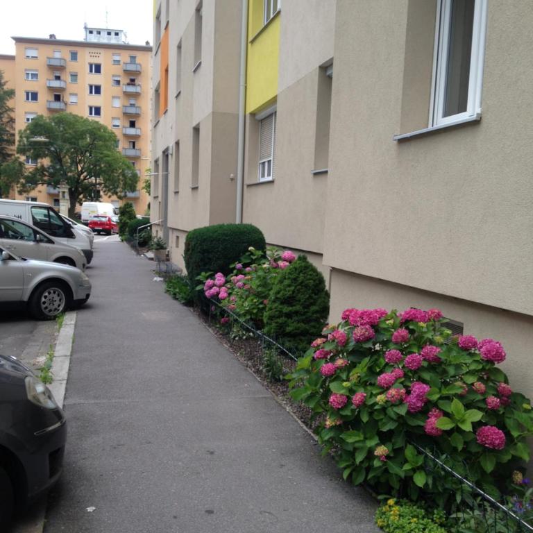Apartment Graz Murpromenade - Apartamento - 13