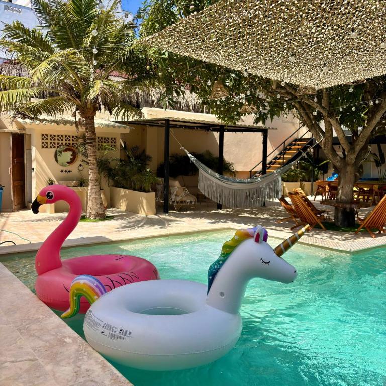 Almare Beach House Cartagena - Villa with Private Pool - 16