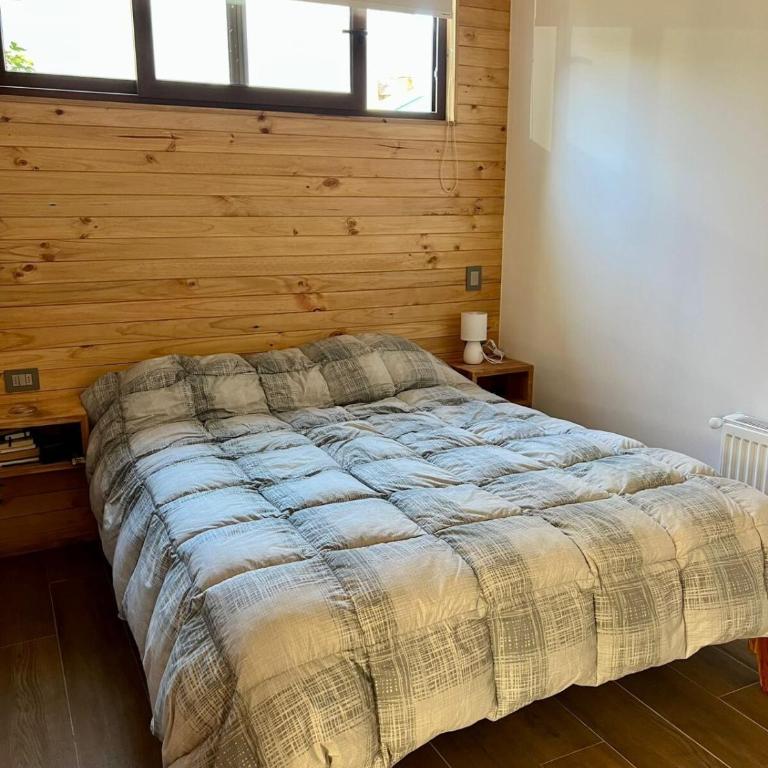 Central Pucon Palguin Pad #2 1er piso - Two-Bedroom Apartment - 3