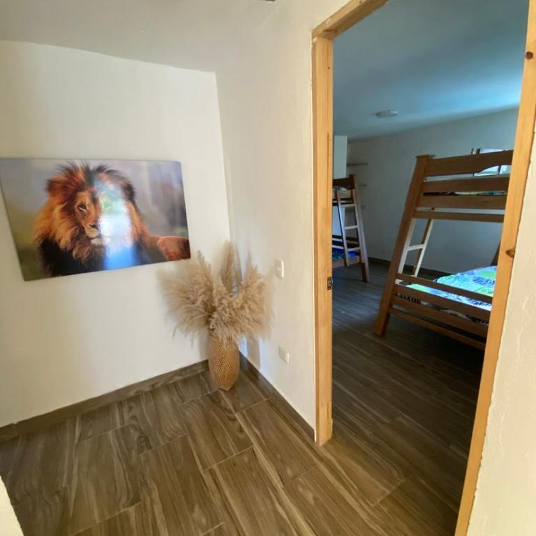 Finca Santama - One-Bedroom House - 7